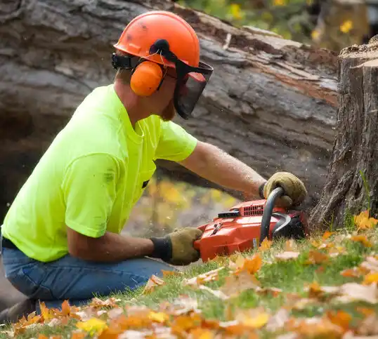 tree services Chaska